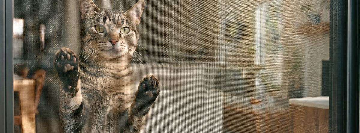 Zanzariere per Animali Domestici