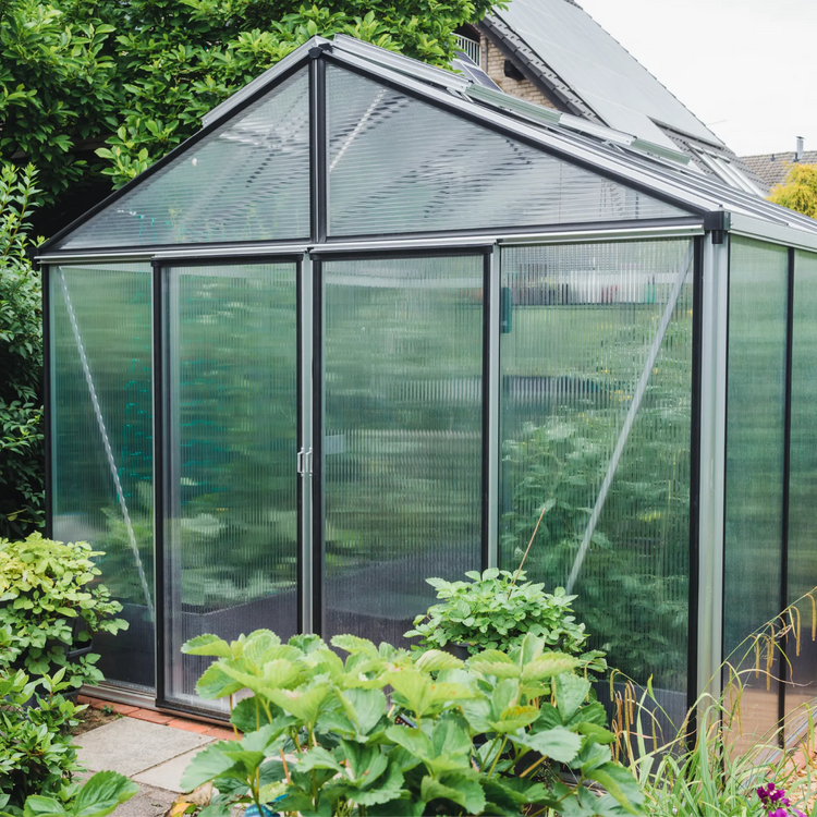 Policarbonato Alveolare 6 mm Trasparente